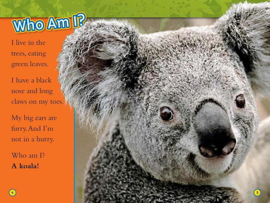 Animal All-Stars Collection (National Geographic Kids Readers, Level 1) US - Paperback / softback