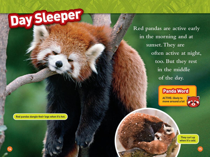 Animal All-Stars Collection (National Geographic Kids Readers, Level 1) US - Paperback / softback