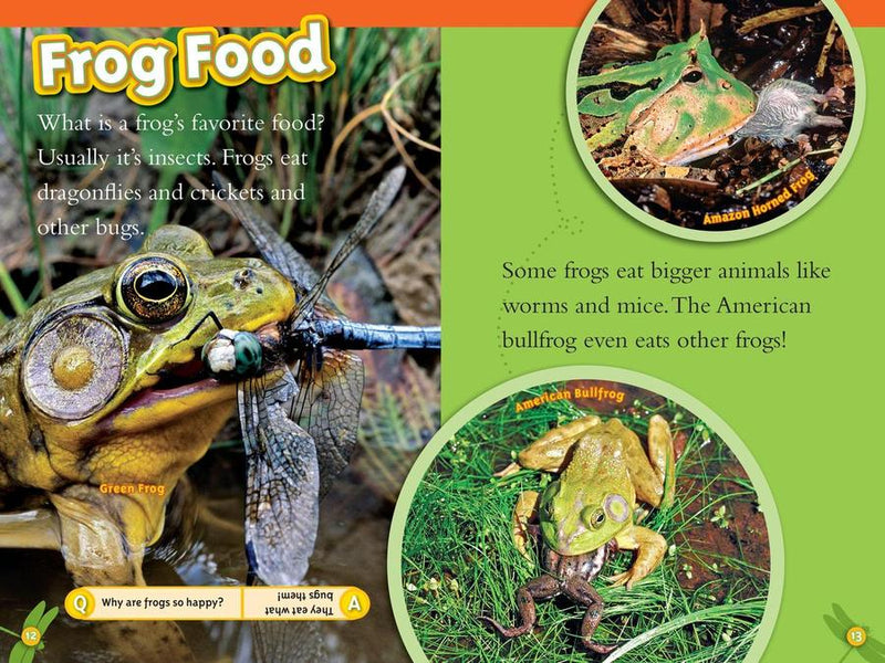 Animal All-Stars Collection (National Geographic Kids Readers, Level 1) US - Paperback / softback