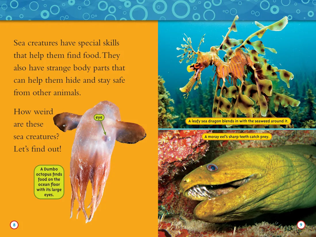 Superstars of the Sea Collection (National Geographic Kids Readers, Level 2) US - Hardback