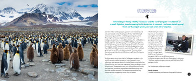 Penguin Palooza US - Hardback (9781426377150)