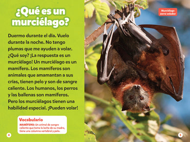 National Geographic Readers: Los Murciélagos interior 1 (ISBN 9781426378263)