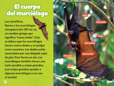 National Geographic Readers: Los Murciélagos interior 3 (ISBN 9781426378263)