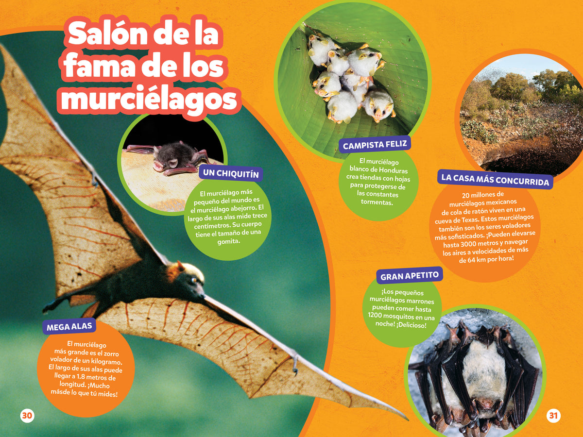 National Geographic Readers: Los Murciélagos interior 5 (ISBN 9781426378263)