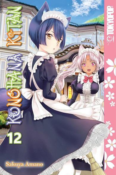 Konohana Kitan, Volume 12-Graphic novel / Comic book / Manga: genres-買書書 BuyBookBook