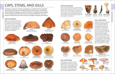 Mushrooms US - Hardback