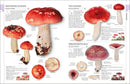Mushrooms US - Hardback