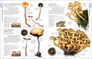 Mushrooms US - Hardback