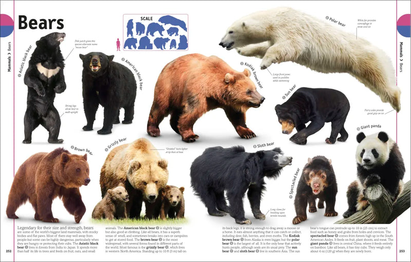 The Animal Book US - Hardback