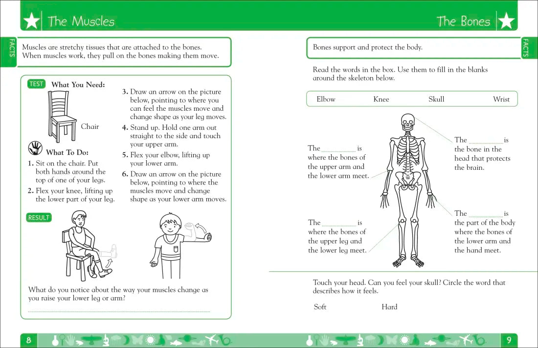 DK Workbooks: Science, First Grade US - Paperback / softback