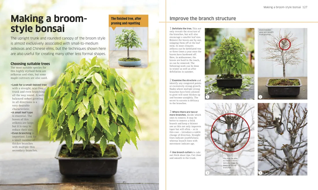 Bonsai US - Hardback