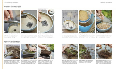 Bonsai US - Hardback