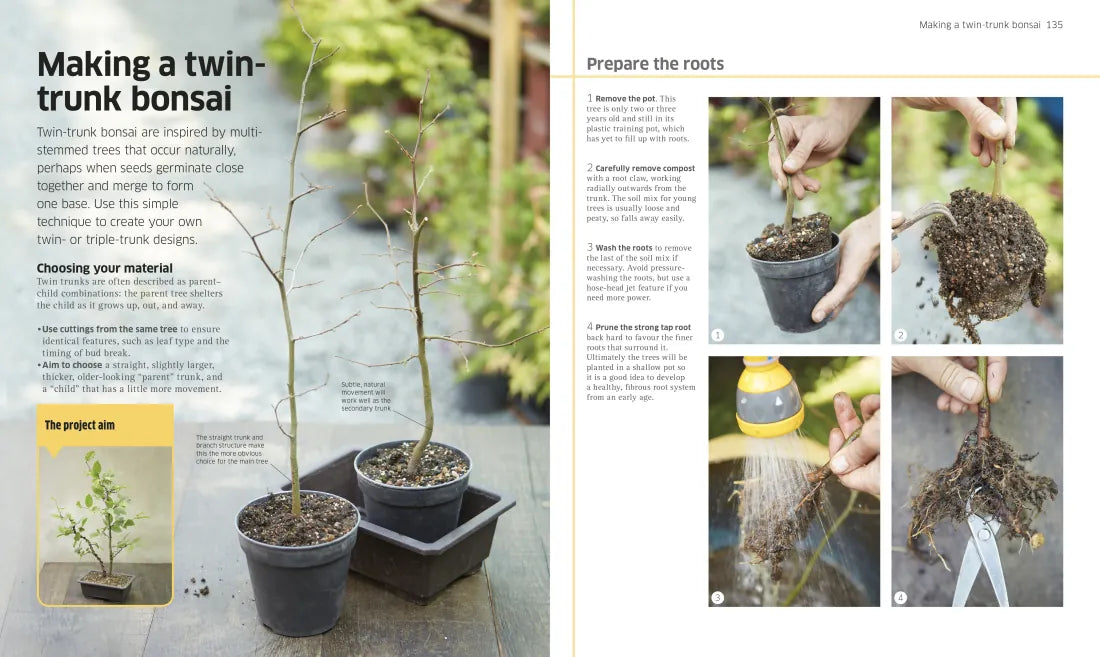 Bonsai US - Hardback