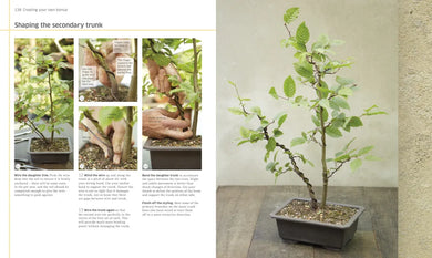 Bonsai US - Hardback