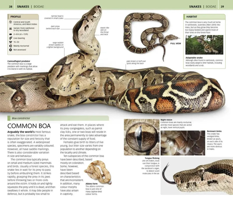 Nature Guide: Snakes and Other Reptiles and Amphibians US - Book