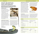 Nature Guide: Snakes and Other Reptiles and Amphibians US - Book