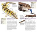 Nature Guide: Snakes and Other Reptiles and Amphibians US - Book