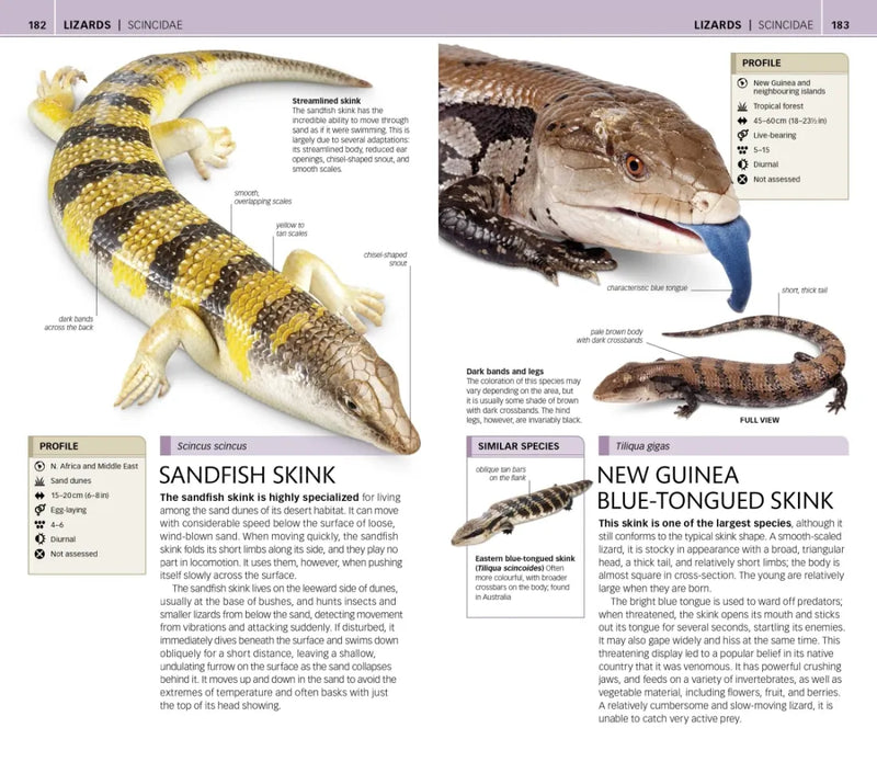 Nature Guide: Snakes and Other Reptiles and Amphibians US - Book
