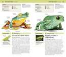 Nature Guide: Snakes and Other Reptiles and Amphibians US - Book