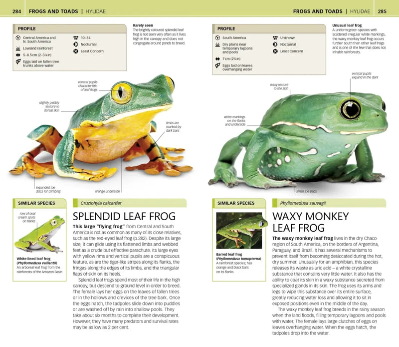 Nature Guide: Snakes and Other Reptiles and Amphibians US - Book