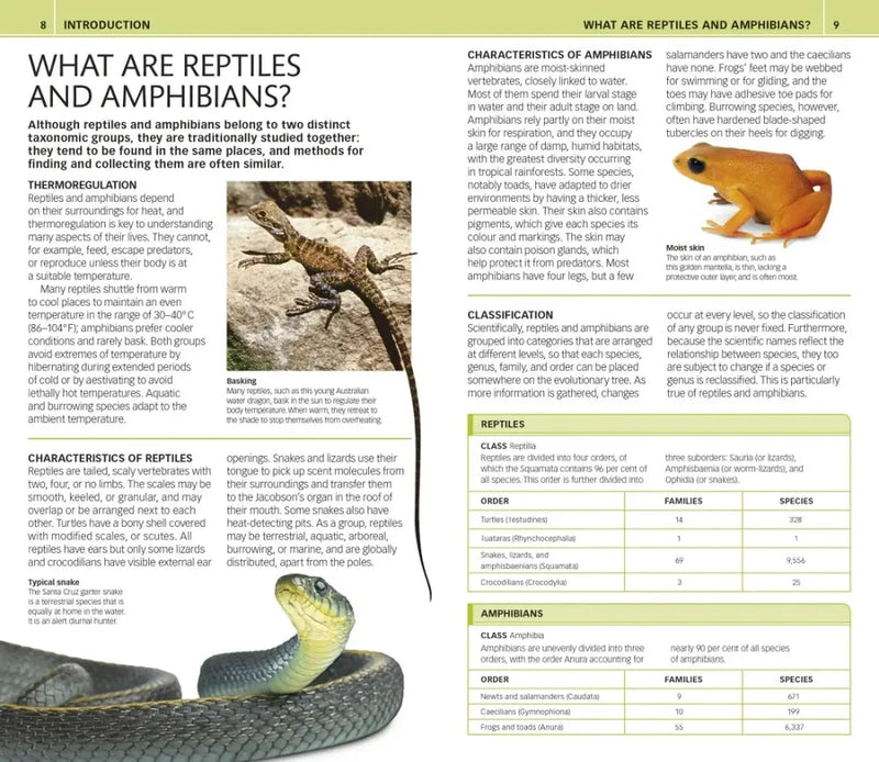 Nature Guide: Snakes and Other Reptiles and Amphibians US - Book