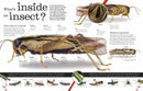 Everything You Need to Know About Bugs US - Hardback