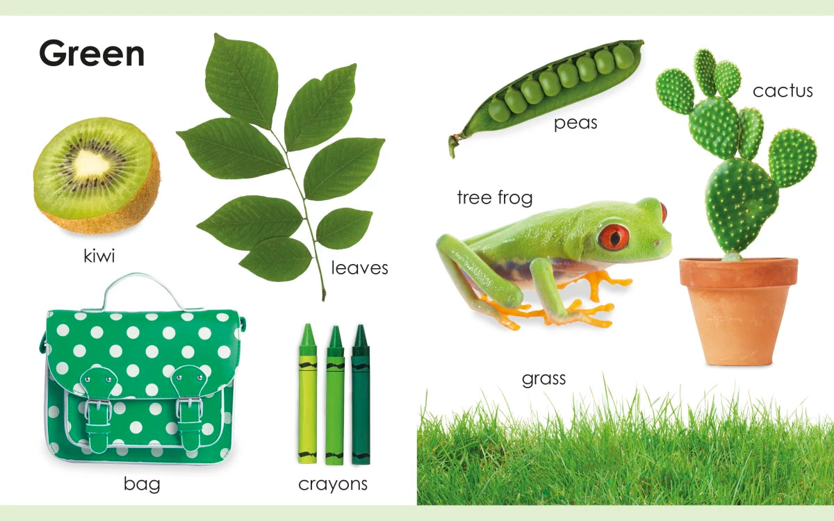 My First Colors US - Board book