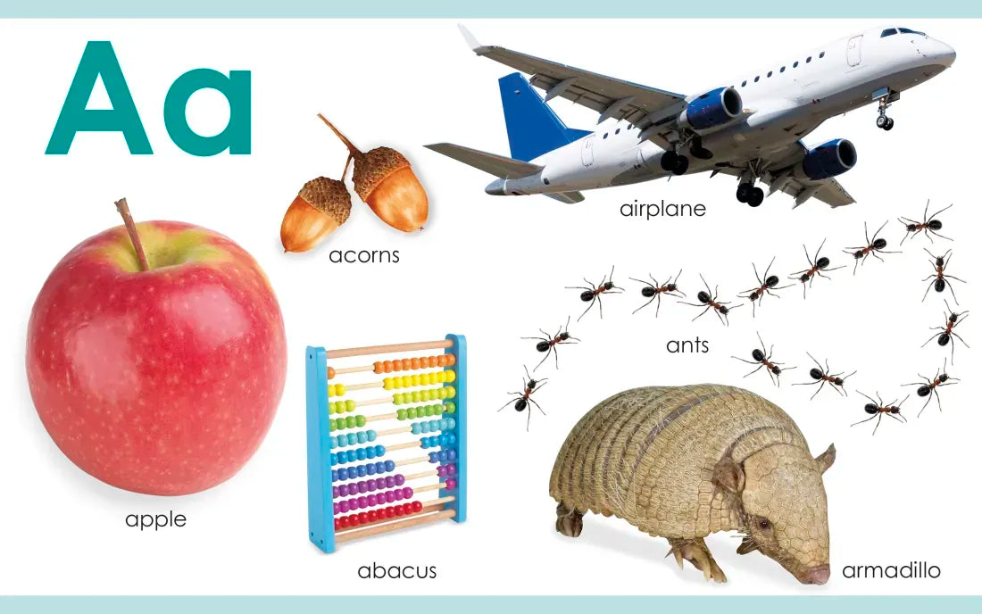 My First ABC US - Board book