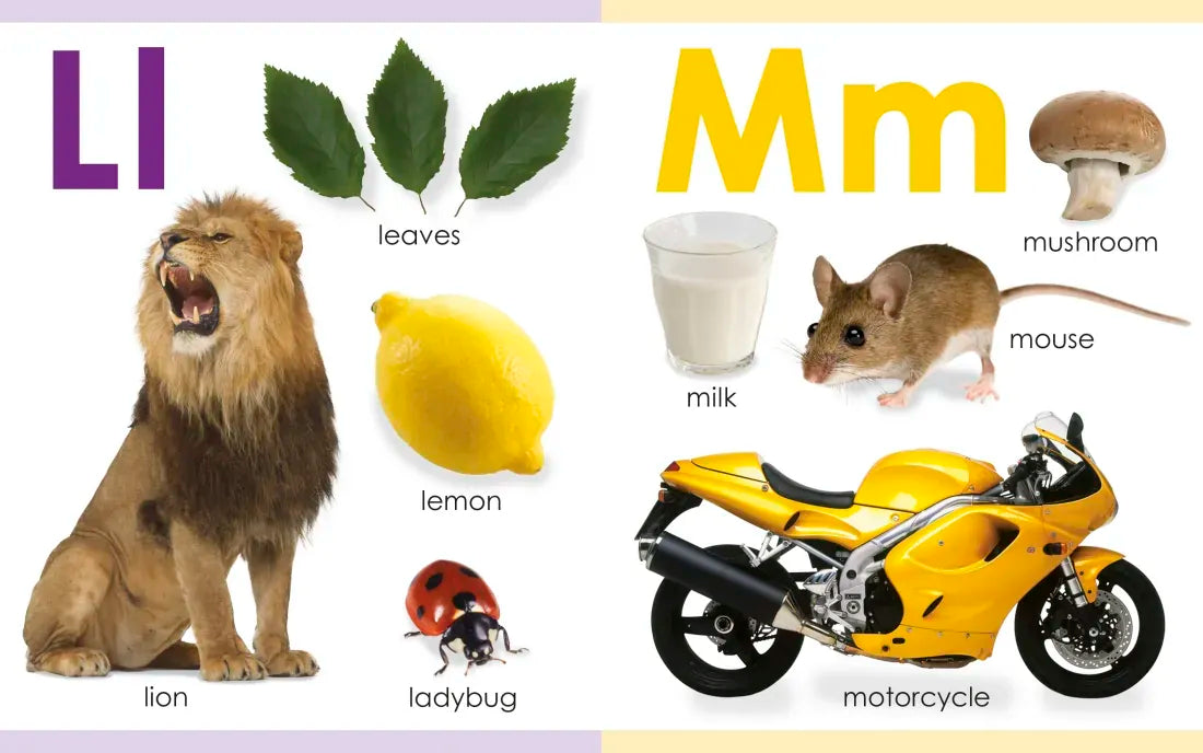 My First ABC US - Board book