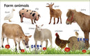 My First Animals US - Board book