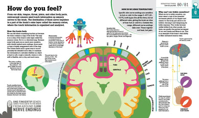 How the Body Works US - Hardback