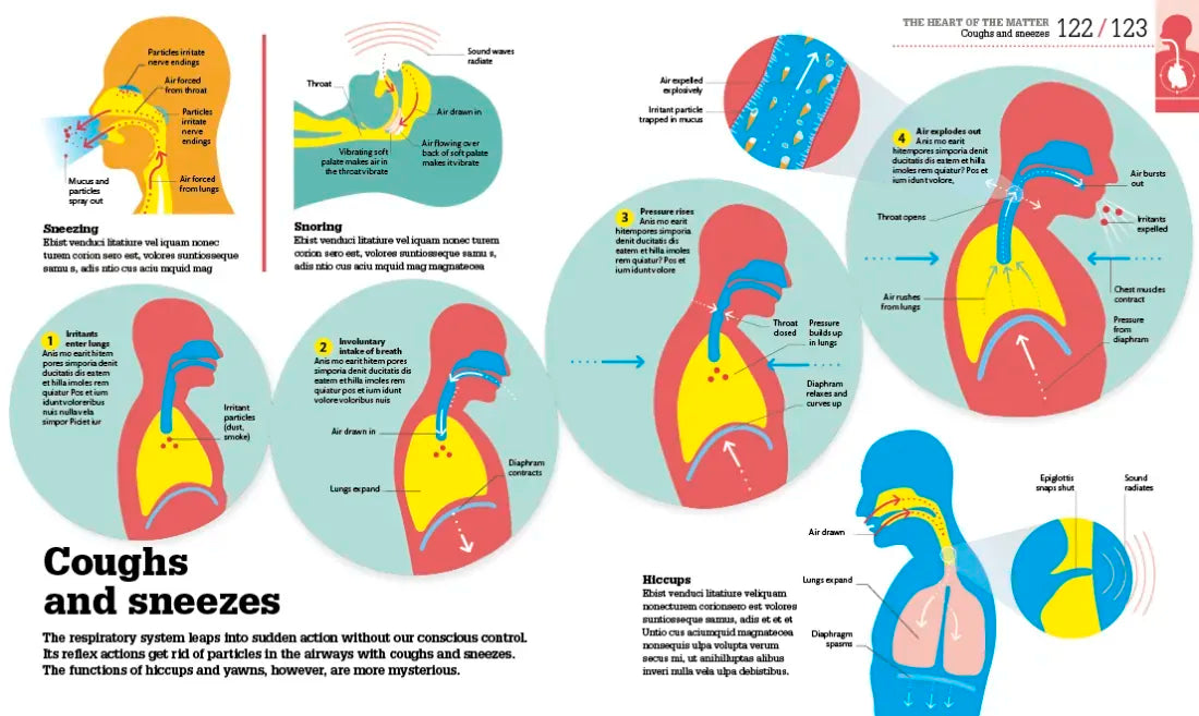 How the Body Works US - Hardback