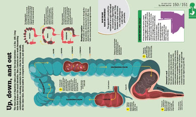 How the Body Works US - Hardback