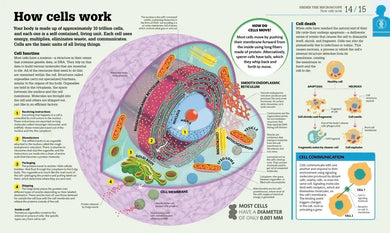 How the Body Works US - Hardback