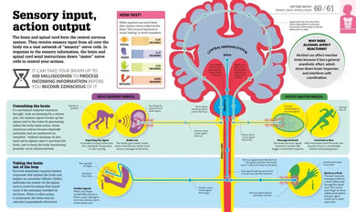 How the Body Works US - Hardback