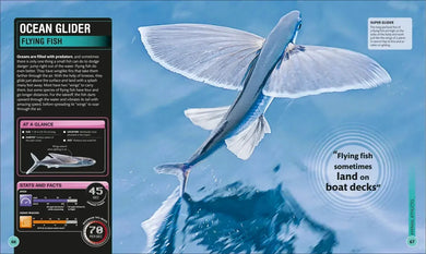 Super Shark Encyclopedia US - Hardback