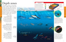 Ocean: A Visual Encyclopedia US - Paperback / softback