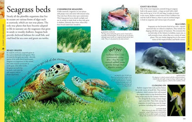 Ocean: A Visual Encyclopedia US - Paperback / softback