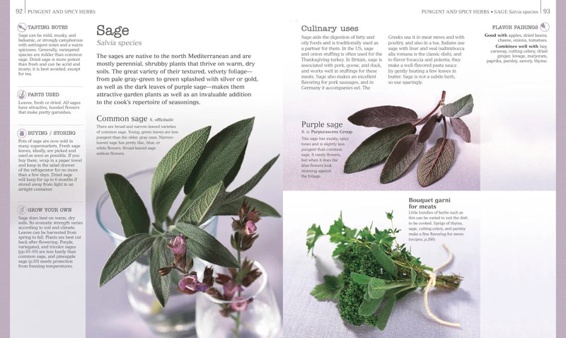 Herbs & Spices US - Hardback