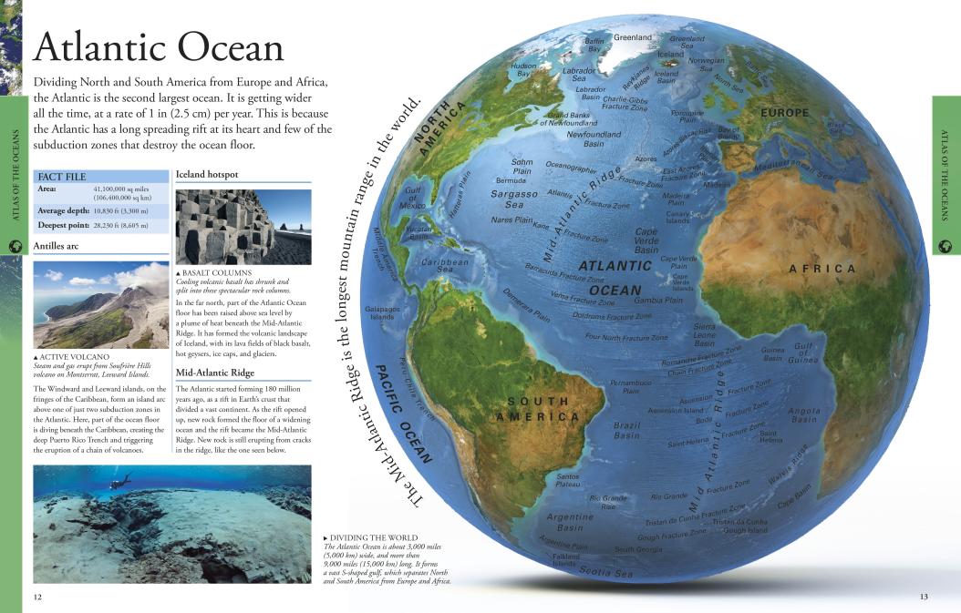 Ocean: A Visual Encyclopedia-Children’s / Teenage general interest: Nature and animals-買書書 BuyBookBook
