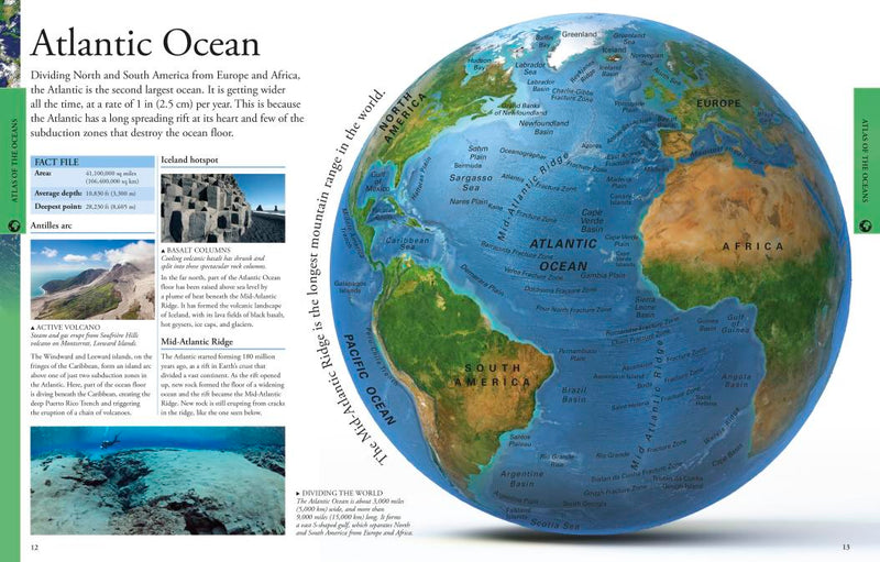 Ocean: A Visual Encyclopedia-Children’s / Teenage general interest: Nature and animals-買書書 BuyBookBook