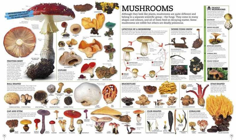 Picturepedia, Second Edition US - Hardback