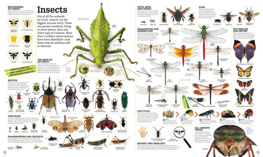 Picturepedia, Second Edition US - Hardback