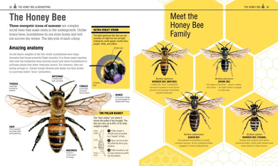 The Bee Book US - Hardback