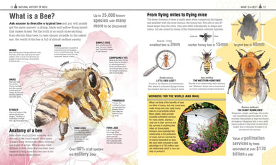 The Bee Book US - Hardback