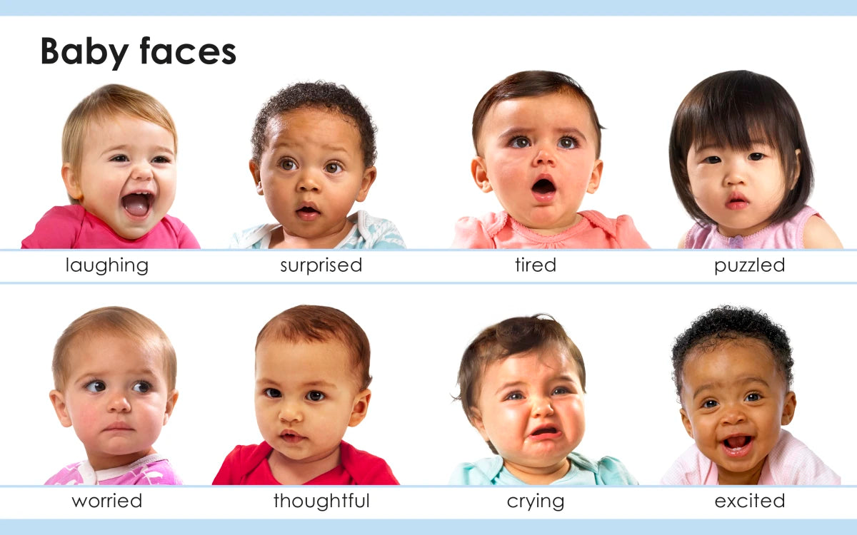 My First Body US - Board book