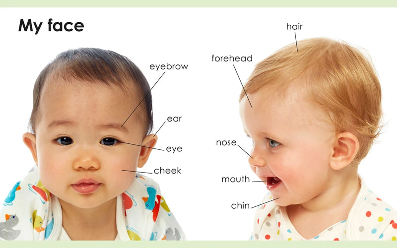 My First Body US - Board book