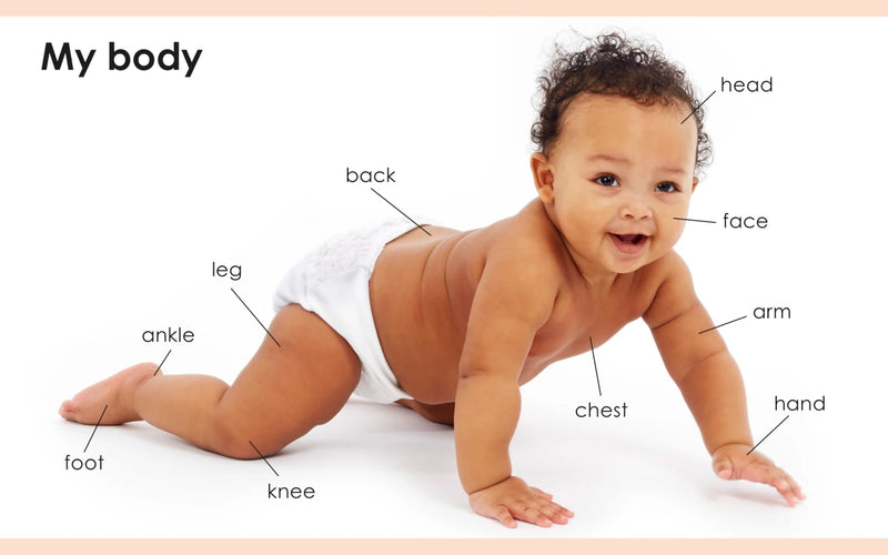 My First Body US - Board book