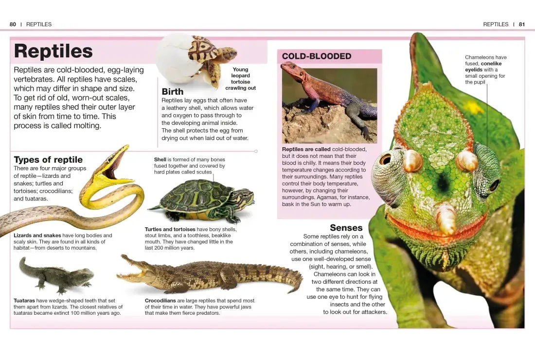 Pocket Genius: Animals US - Paperback / softback