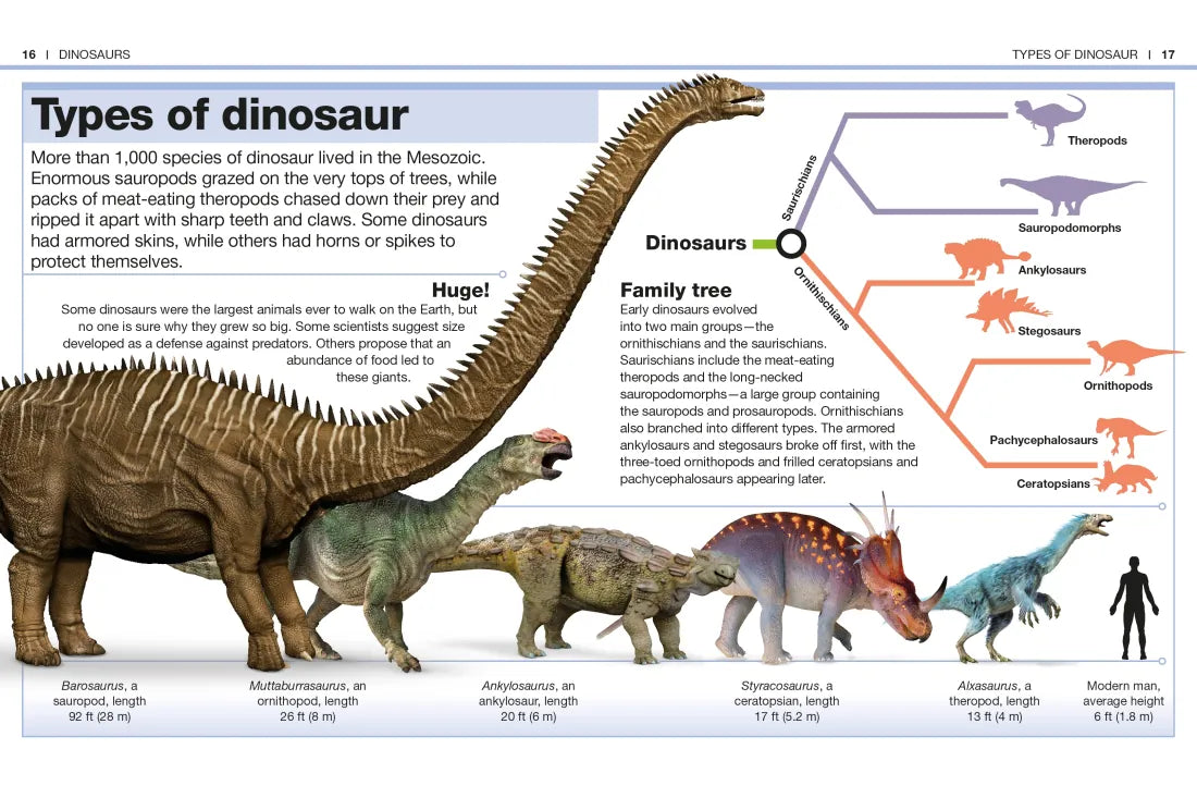 Pocket Genius Dinosaurs US - Paperback / softback